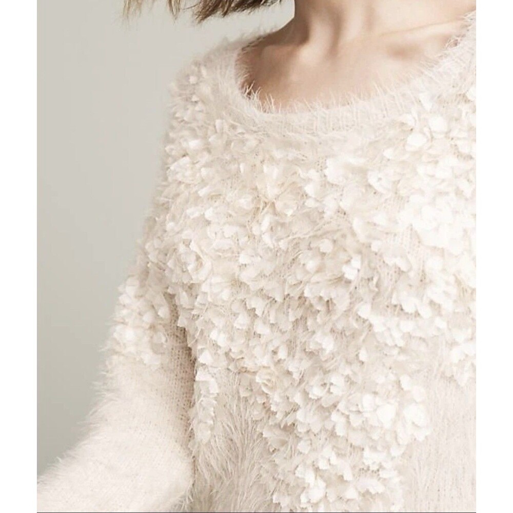 Anthropologie Moth Audrette Eyelash Sweater Pullover 3D Floral Applique Cream L